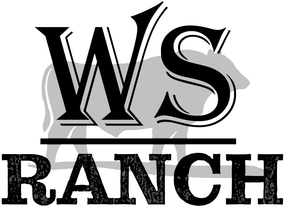 Logo of WS Ranch featuring a stylized cow silhouette in the background, with bold lettering of "WS" above the word "RANCH," representing a cattle ranching business.
